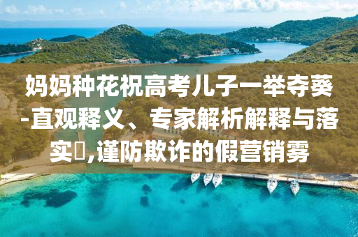 媽媽種花祝高考兒子一舉奪葵-直觀釋義、專家解析解釋與落實?,謹防欺詐的假營銷霧