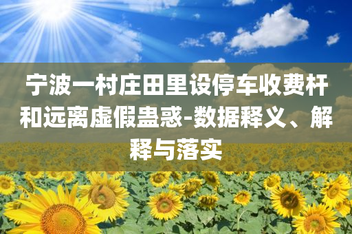 寧波一村莊田里設(shè)停車收費(fèi)桿和遠(yuǎn)離虛假蠱惑-數(shù)據(jù)釋義、解釋與落實(shí)