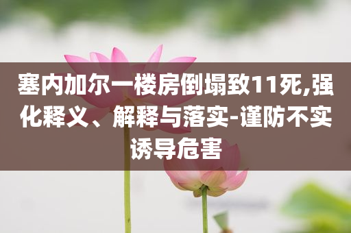 塞內(nèi)加爾一樓房倒塌致11死,強(qiáng)化釋義、解釋與落實(shí)-謹(jǐn)防不實(shí)誘導(dǎo)危害