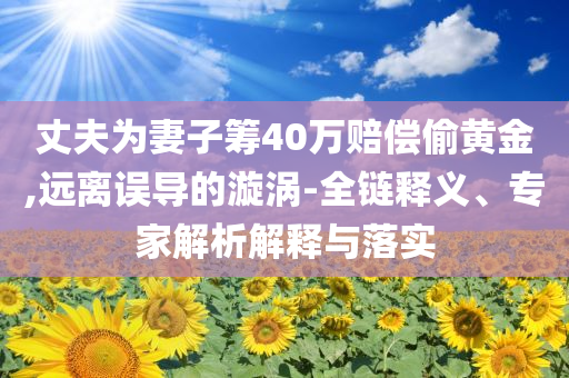 丈夫為妻子籌40萬賠償偷黃金,遠(yuǎn)離誤導(dǎo)的漩渦-全鏈釋義、專家解析解釋與落實