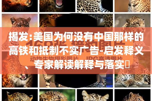 揭發(fā):美國為何沒有中國那樣的高鐵和抵制不實廣告-啟發(fā)釋義、專家解讀解釋與落實?