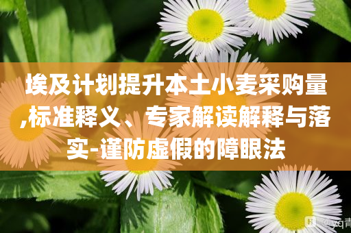 埃及計(jì)劃提升本土小麥采購量,標(biāo)準(zhǔn)釋義、專家解讀解釋與落實(shí)-謹(jǐn)防虛假的障眼法