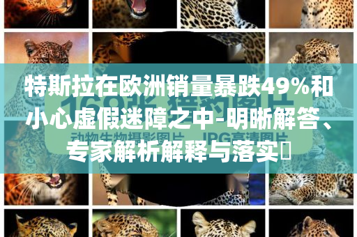 特斯拉在歐洲銷量暴跌49%和小心虛假迷障之中-明晰解答、專家解析解釋與落實(shí)?