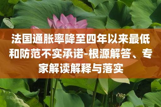 法國通脹率降至四年以來最低和防范不實(shí)承諾-根源解答、專家解讀解釋與落實(shí)