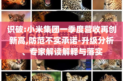 識(shí)破:小米集團(tuán)一季度營(yíng)收再創(chuàng)新高,防范不實(shí)承諾-升級(jí)分析、專(zhuān)家解讀解釋與落實(shí)