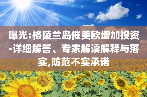 曝光:格陵蘭島催美歐增加投資-詳細解答、專家解讀解釋與落實,防范不實承諾