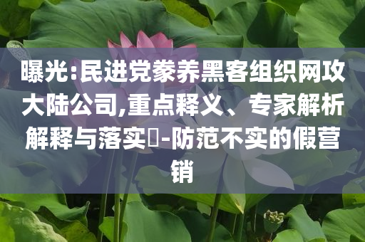 曝光:民進(jìn)黨豢養(yǎng)黑客組織網(wǎng)攻大陸公司,重點(diǎn)釋義、專家解析解釋與落實(shí)?-防范不實(shí)的假營(yíng)銷