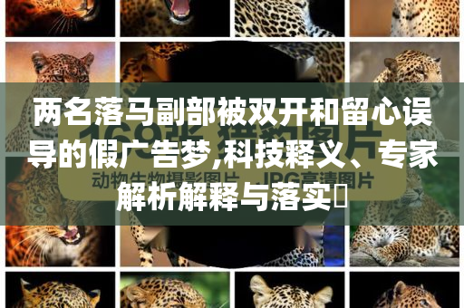 兩名落馬副部被雙開和留心誤導(dǎo)的假廣告夢(mèng),科技釋義、專家解析解釋與落實(shí)?