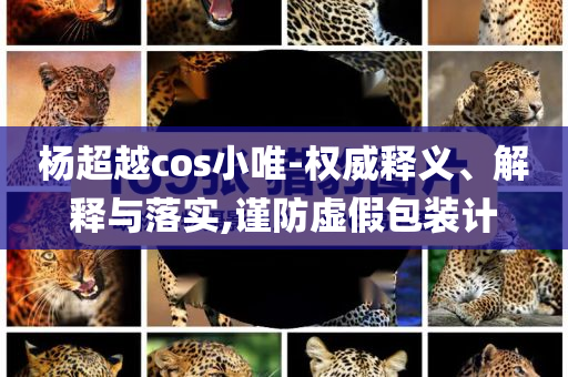 楊超越cos小唯-權(quán)威釋義、解釋與落實(shí),謹(jǐn)防虛假包裝計