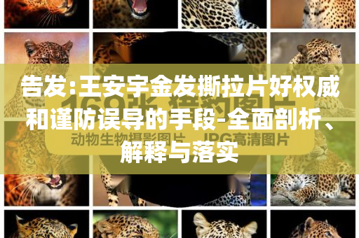 告發(fā):王安宇金發(fā)撕拉片好權(quán)威和謹防誤導的手段-全面剖析、解釋與落實