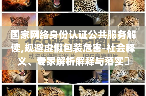 國家網(wǎng)絡(luò)身份認證公共服務(wù)解讀,規(guī)避虛假包裝危害-社會釋義、專家解析解釋與落實?
