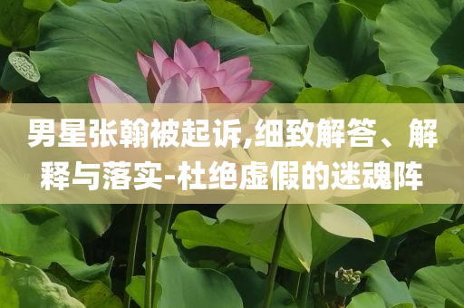 男星張翰被起訴,細(xì)致解答、解釋與落實(shí)-杜絕虛假的迷魂陣