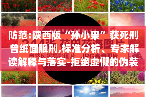 防范:陜西版“孫小果”獲死刑 曾紙面服刑,標準分析、專家解讀解釋與落實-拒絕虛假的偽裝