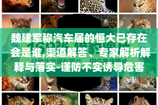 魏建軍稱汽車屆的恒大已存在 會是誰,渠道解答、專家解析解釋與落實-謹(jǐn)防不實誘導(dǎo)危害