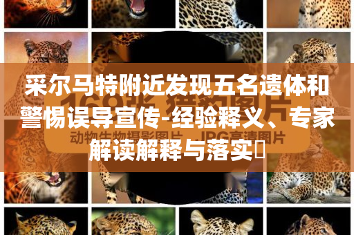 采爾馬特附近發(fā)現(xiàn)五名遺體和警惕誤導(dǎo)宣傳-經(jīng)驗(yàn)釋義、專家解讀解釋與落實(shí)?