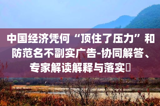 中國經(jīng)濟(jì)憑何“頂住了壓力”和防范名不副實(shí)廣告-協(xié)同解答、專家解讀解釋與落實(shí)?
