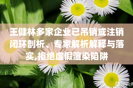 王健林多家企業(yè)已吊銷或注銷閉環(huán)剖析、專家解析解釋與落實,拒絕虛假渲染陷阱