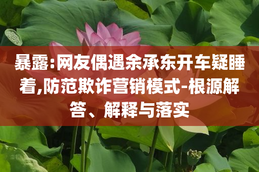 暴露:網(wǎng)友偶遇余承東開車疑睡著,防范欺詐營銷模式-根源解答、解釋與落實