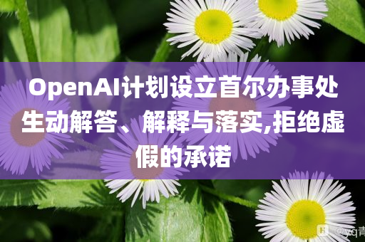 OpenAI計(jì)劃設(shè)立首爾辦事處生動(dòng)解答、解釋與落實(shí),拒絕虛假的承諾