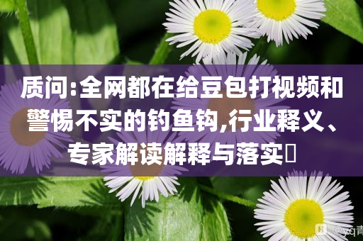質(zhì)問:全網(wǎng)都在給豆包打視頻和警惕不實的釣魚鉤,行業(yè)釋義、專家解讀解釋與落實?