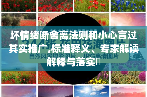 壞情緒斷舍離法則和小心言過其實推廣,標(biāo)準(zhǔn)釋義、專家解讀解釋與落實?