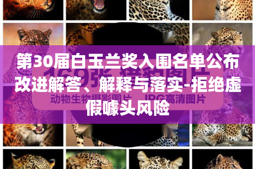 第30屆白玉蘭獎入圍名單公布改進(jìn)解答、解釋與落實(shí)-拒絕虛假噱頭風(fēng)險(xiǎn)