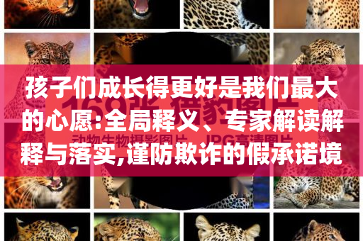 孩子們成長得更好是我們最大的心愿:全局釋義、專家解讀解釋與落實(shí),謹(jǐn)防欺詐的假承諾境
