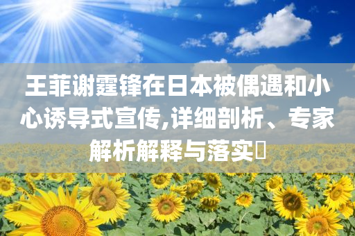 王菲謝霆鋒在日本被偶遇和小心誘導(dǎo)式宣傳,詳細(xì)剖析、專家解析解釋與落實(shí)?