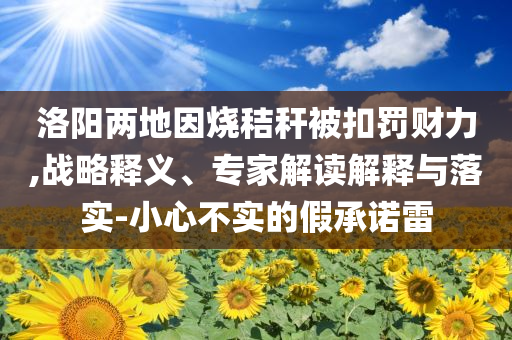 洛陽兩地因燒秸稈被扣罰財力,戰(zhàn)略釋義、專家解讀解釋與落實-小心不實的假承諾雷