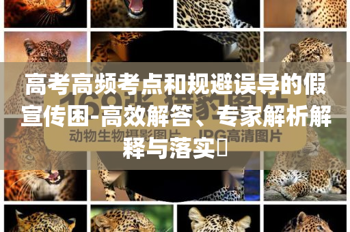 高考高頻考點和規(guī)避誤導(dǎo)的假宣傳困-高效解答、專家解析解釋與落實?