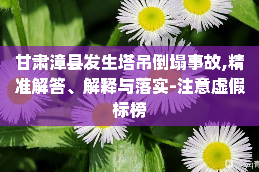 甘肅漳縣發(fā)生塔吊倒塌事故,精準(zhǔn)解答、解釋與落實(shí)-注意虛假標(biāo)榜