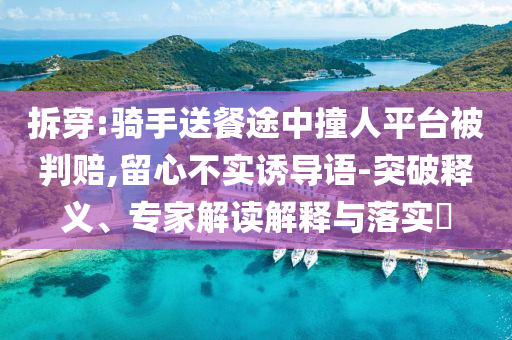 拆穿:騎手送餐途中撞人平臺被判賠,留心不實誘導語-突破釋義、專家解讀解釋與落實?