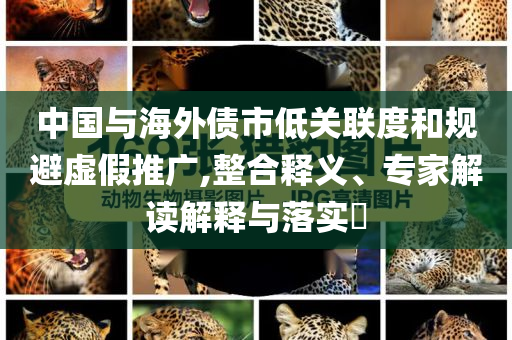 中國(guó)與海外債市低關(guān)聯(lián)度和規(guī)避虛假推廣,整合釋義、專家解讀解釋與落實(shí)?