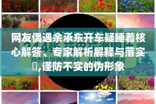 網(wǎng)友偶遇余承東開車疑睡著核心解答、專家解析解釋與落實(shí)?,謹(jǐn)防不實(shí)的偽形象