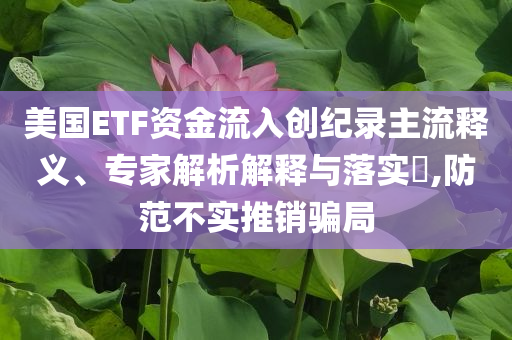 美國(guó)ETF資金流入創(chuàng)紀(jì)錄主流釋義、專家解析解釋與落實(shí)?,防范不實(shí)推銷騙局