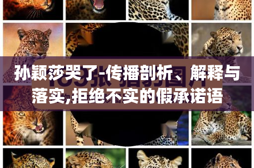 孫穎莎哭了-傳播剖析、解釋與落實(shí),拒絕不實(shí)的假承諾語