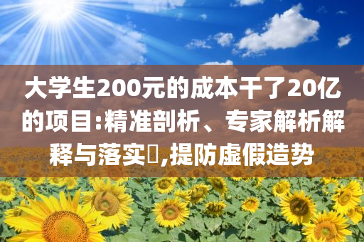 大學(xué)生200元的成本干了20億的項目:精準(zhǔn)剖析、專家解析解釋與落實?,提防虛假造勢