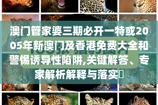 澳門管家婆三期必開一特或2005年新澳門及香港免費大全和警惕誘導(dǎo)性陷阱,關(guān)鍵解答、專家解析解釋與落實?