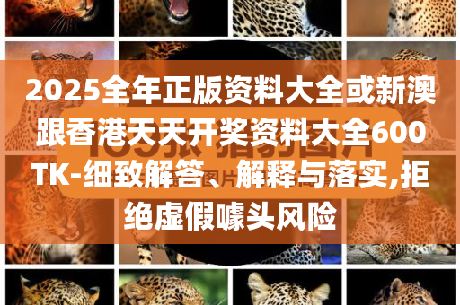 2025全年正版資料大全或新澳跟香港天天開獎資料大全600TK-細致解答、解釋與落實,拒絕虛假噱頭風(fēng)險
