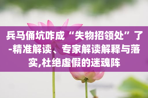 兵馬俑坑咋成“失物招領(lǐng)處”了-精準(zhǔn)解讀、專家解讀解釋與落實(shí),杜絕虛假的迷魂陣