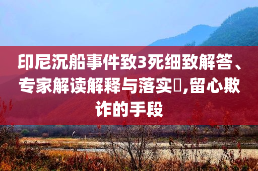 印尼沉船事件致3死細(xì)致解答、專家解讀解釋與落實(shí)?,留心欺詐的手段