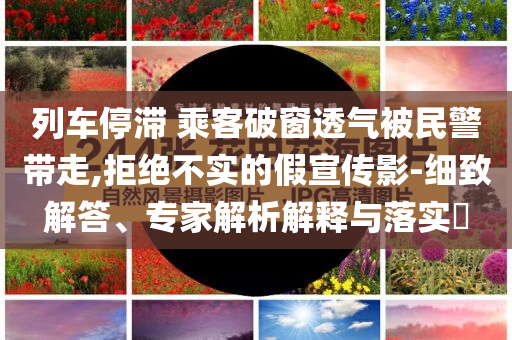 列車停滯 乘客破窗透氣被民警帶走,拒絕不實的假宣傳影-細致解答、專家解析解釋與落實?