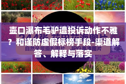 壺口瀑布毛驢遭投訴動作不雅？和謹防虛假標榜手段-渠道解答、解釋與落實
