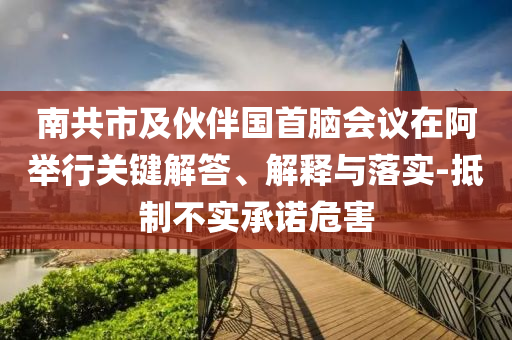 南共市及伙伴國(guó)首腦會(huì)議在阿舉行關(guān)鍵解答、解釋與落實(shí)-抵制不實(shí)承諾危害