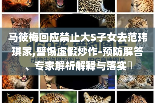 馬筱梅回應(yīng)禁止大S子女去范瑋琪家,警惕虛假炒作-預(yù)防解答、專家解析解釋與落實(shí)?