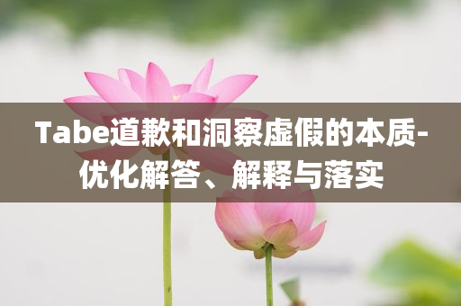 Tabe道歉和洞察虛假的本質(zhì)-優(yōu)化解答、解釋與落實