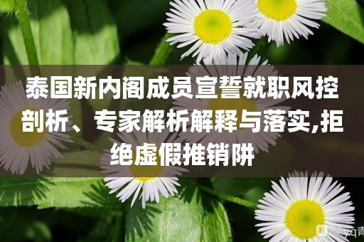 泰國新內(nèi)閣成員宣誓就職風(fēng)控剖析、專家解析解釋與落實,拒絕虛假推銷阱
