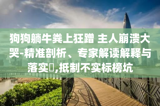 狗狗躺牛糞上狂蹭 主人崩潰大哭-精準(zhǔn)剖析、專家解讀解釋與落實(shí)?,抵制不實(shí)標(biāo)榜坑