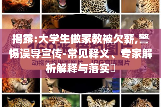 揭露:大學生做家教被欠薪,警惕誤導宣傳-常見釋義、專家解析解釋與落實?