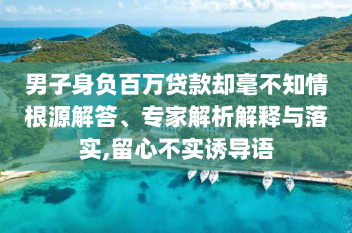 男子身負(fù)百萬(wàn)貸款卻毫不知情根源解答、專家解析解釋與落實(shí),留心不實(shí)誘導(dǎo)語(yǔ)
